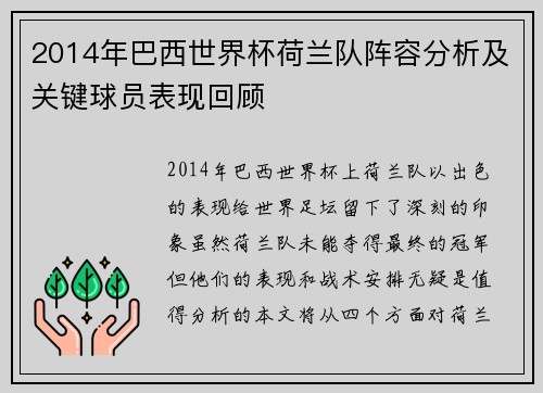2014年巴西世界杯荷兰队阵容分析及关键球员表现回顾